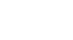 DS logo