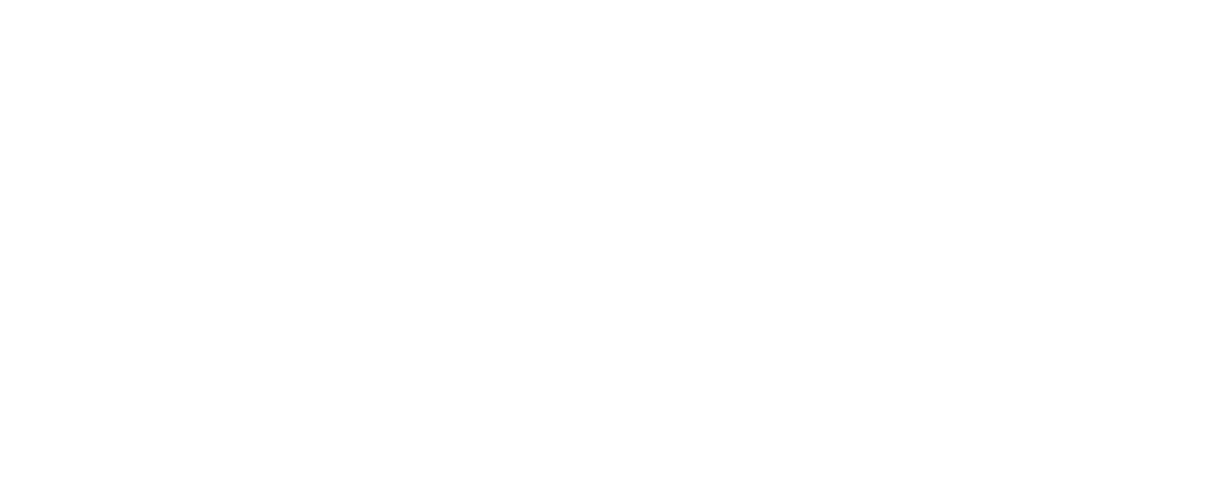 Leapmotor logo